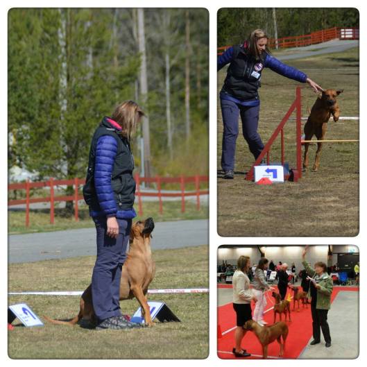 Foto: Mari Aure/Hanne Lystad