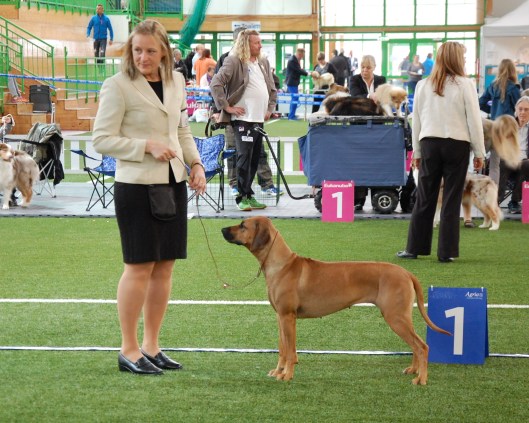 1AKK Ålesund 090515