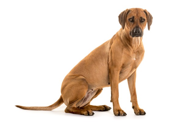 Foto: Erik Valestrand 23.mai 2015