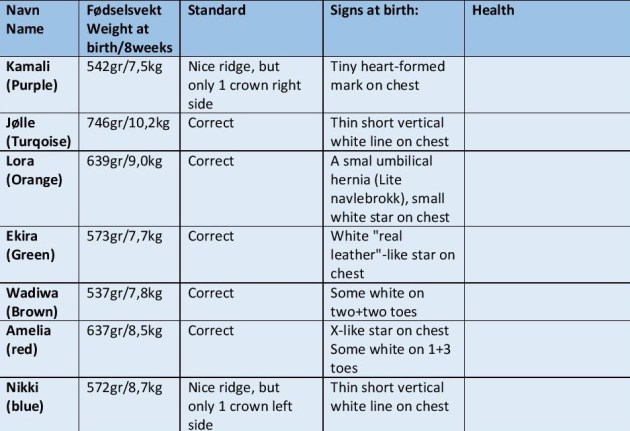 valpeinfotabell-wp-akull-page-001