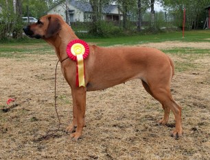 IMG_0_BURST20160529102657