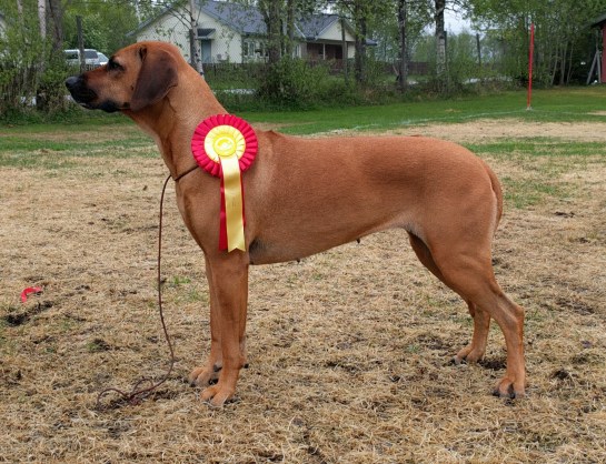 IMG_0_BURST20160529102657