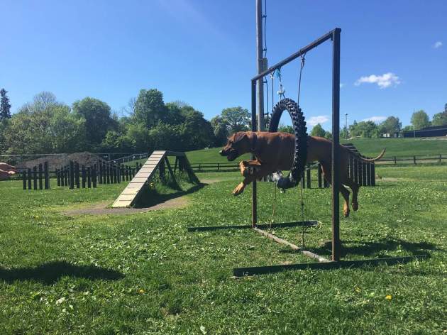 .facebook_1518962501282